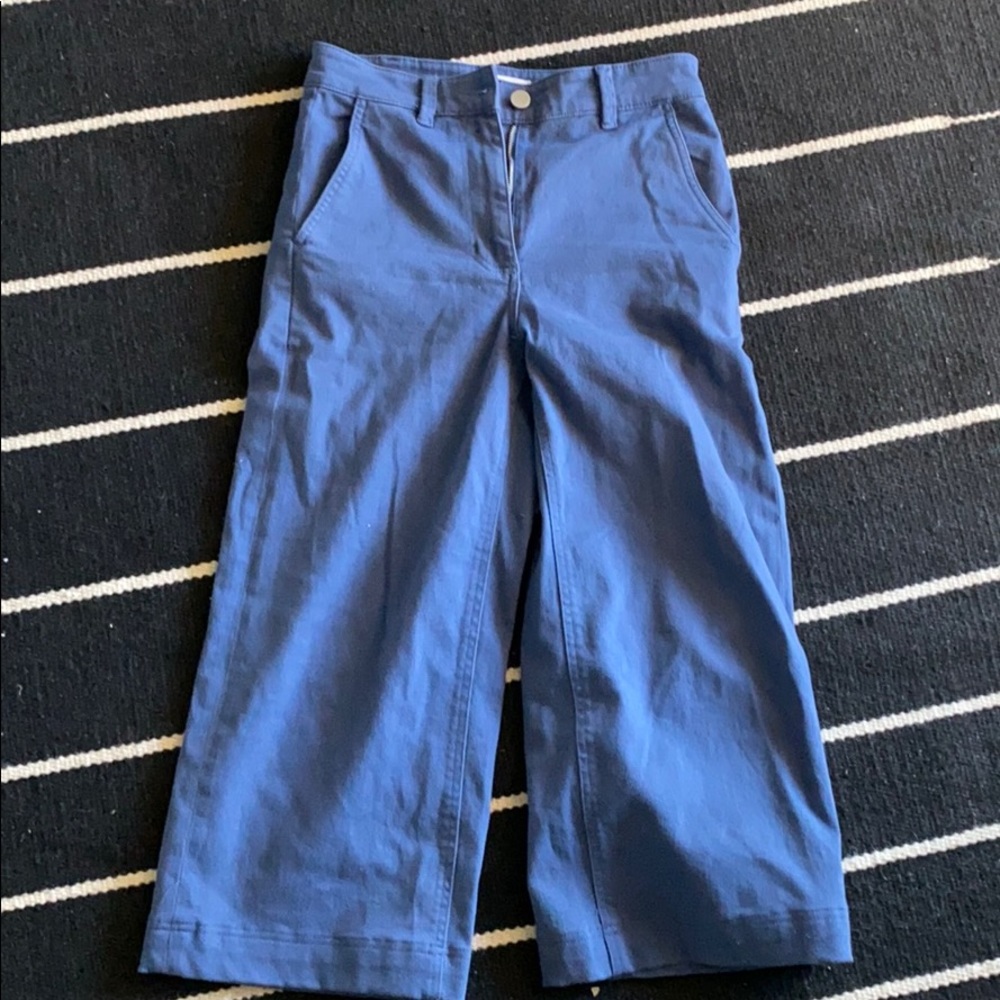 Everlane pants